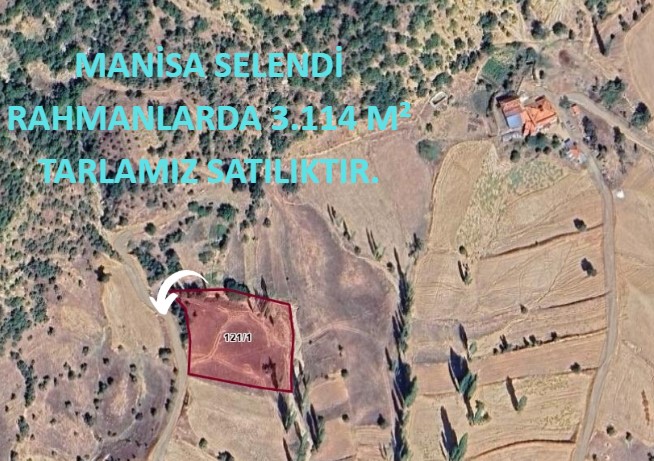 MANİSA SELENDİ RAHMANLARDA 3.114 M² TARLAMIZ SATILIKTIR. - MANİSA SELENDİ fotoğraf 8